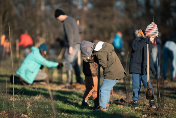 Voor elke nieuwe deelauto 10 bomen!