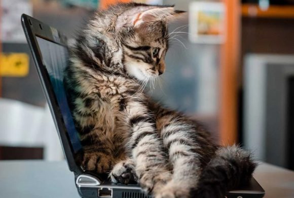 Kostenkeurders gezocht