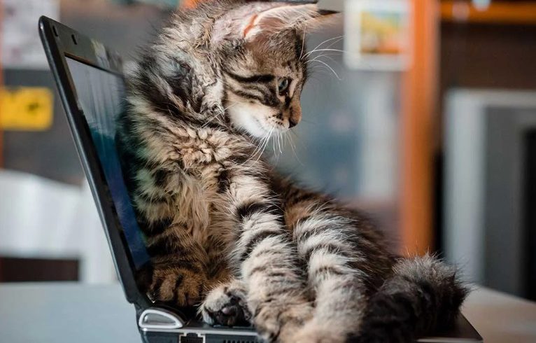 Kostenkeurders gezocht